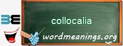 WordMeaning blackboard for collocalia